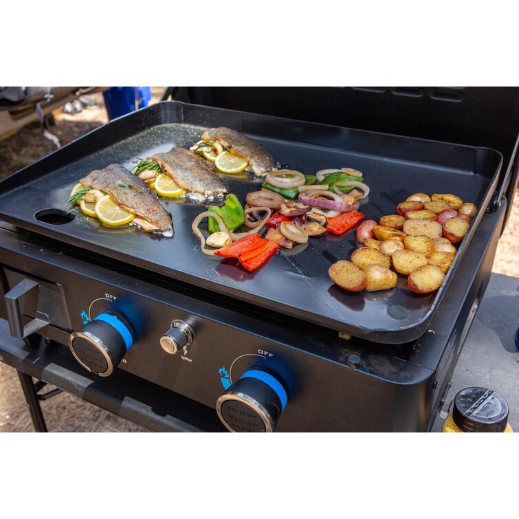 2 burner shop propane griddle